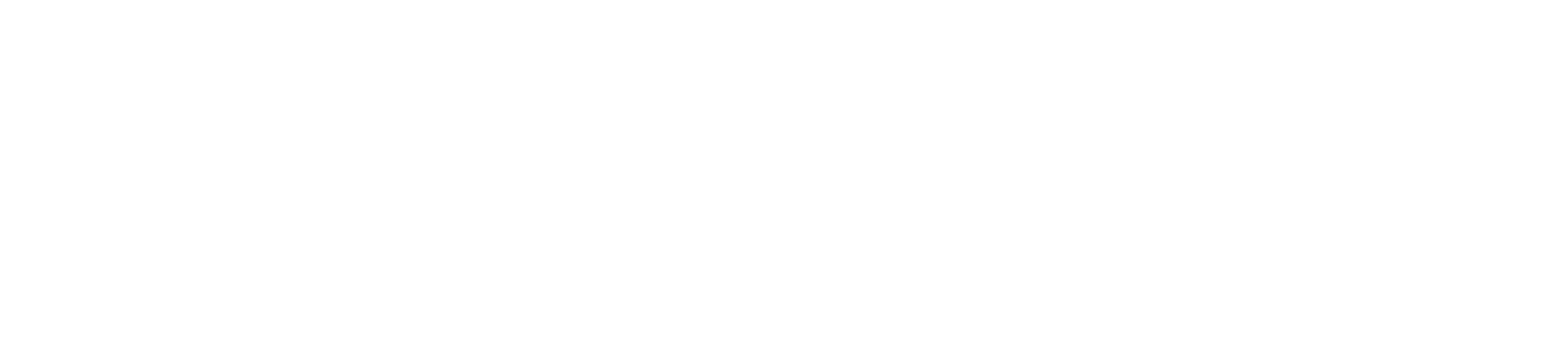WizjaNet